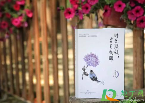 过年长一岁怕老的说说2021(2021年过年的说说) 过年长一岁怕老的说说2021(2021年过年的说说)