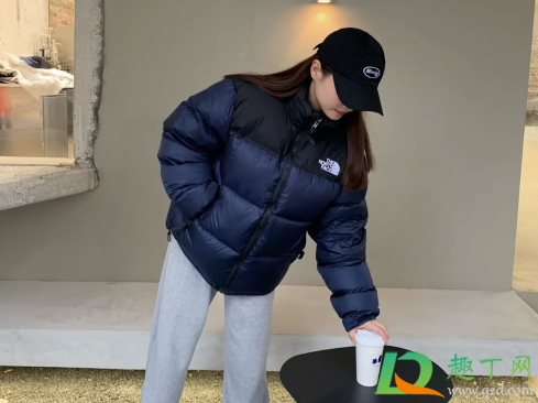 北面1996哪个颜色好看(北面1990哪个颜色最好看)