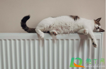 暖气放水可以用吗(暖气放水真的有用吗) 暖气放水可以用吗(暖气放水真的有用吗)