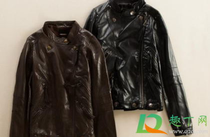 皮衣怎么干洗(皮衣服怎么干洗)