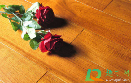 地暖水暖好还是电暖好(到底是电地暖好还是水暖好)