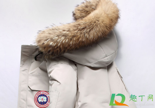 河南焦作大鹅工厂是真的吗(焦作的大鹅是正品吗)