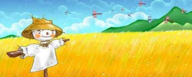 《稻草人》有感(《稻草人》有感三年级日记怎么写?)