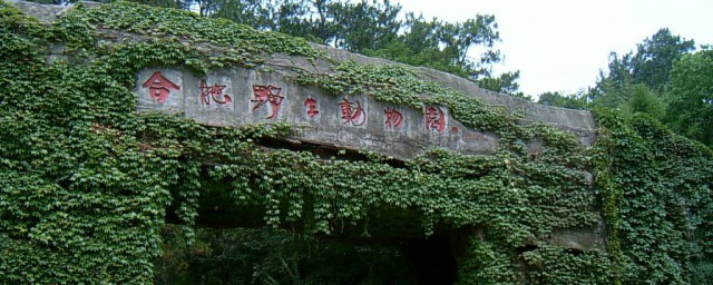 合肥有森林公园吗(合肥国家森林公园好玩吗)