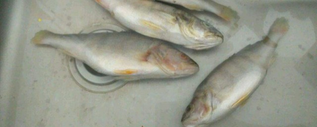 两种快速解冻方法介绍(求快速解冻的方法)