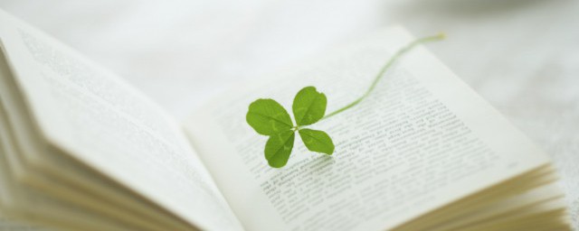 主角陆鸣是小说血脉重生(小说主人公陆鸣血脉重生)