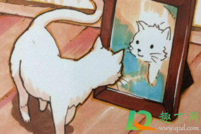 为什么晚上不能照镜子梳头(为什么晚上不能照镜子梳头能看到前世的自己吗)