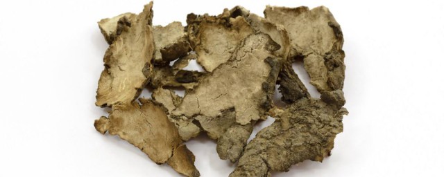 大家一起来看一下(大家一起来看一下午夜末班车)