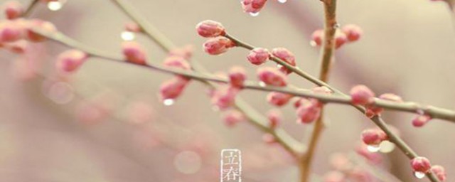 早立春和晚立春的区别(早立春和晚立春有什么说法)