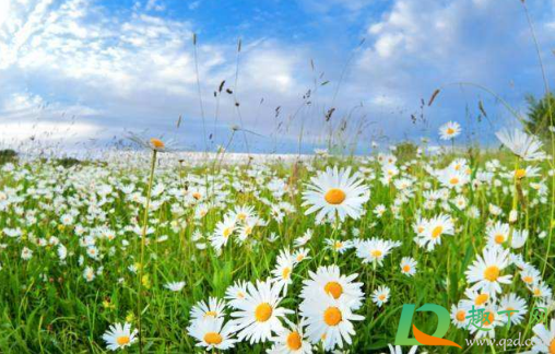 2021年2月是什么季节(2021年二月份是什么年) 2021年2月是什么季节(2021年二月份是什么年)