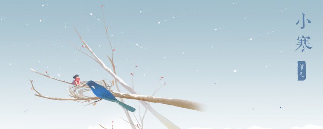 小寒一般是哪一天(小寒大寒是哪一天)