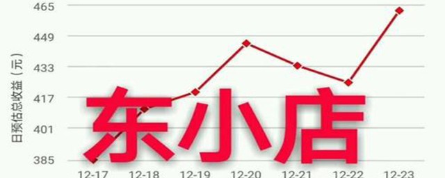 东小店的运行模式和收益及店铺升级(东小店成长值)