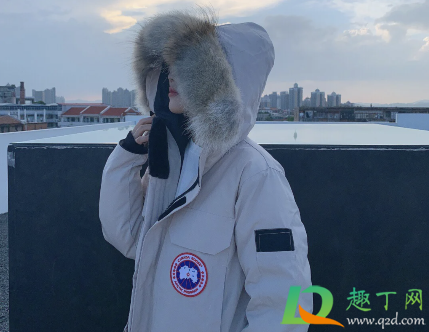 大鹅羽绒服都说米白色是假的(买的白鹅绒羽绒服,怎么认定是真是假)