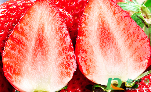 丹东草莓为啥那么贵(丹东草莓好么) 丹东草莓为啥那么贵(丹东草莓好么)