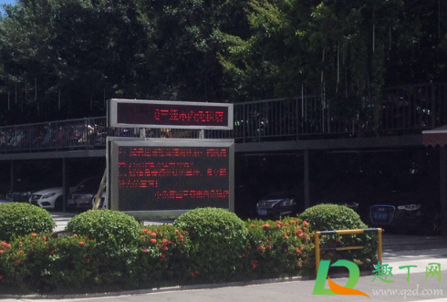 过年去三亚一般需要多少钱2021(2020年去三亚旅游需要多少钱)