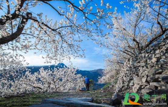 2021年2月是什么季节(2021年二月份是什么年)