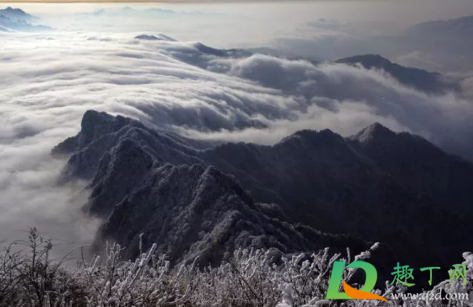 为什么要和喜欢的人爬老君山(老君山容易爬吗)