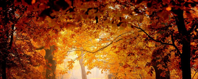 盂兰节原意是什么意思(盂兰的意思)