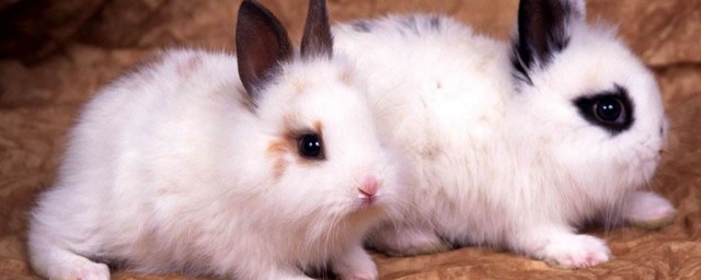 小事项注意好(做好注意事项)