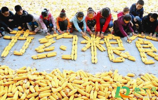 2021年春天会缺粮吗(2021年会发生粮荒吗) 2021年春天会缺粮吗(2021年会发生粮荒吗)