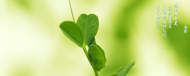 农历正月十一开春(大年正月十一)