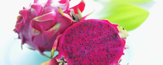 火龙果的挑选方法(如何挑选火龙果)