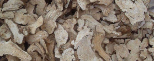 什么是白术(什么是白术中药)