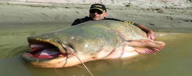 了解一(了解一个人的句子)