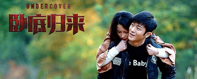 卧底归来剧情简介(卧底归来大结局)