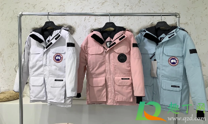 河南焦作桑坡村大鹅羽绒服多少钱(河南焦作的大鹅羽绒服) 河南焦作桑坡村大鹅羽绒服多少钱(河南焦作的大鹅羽绒服)