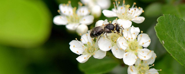 这个词怎么读(这个词怎么读用英语怎么说)