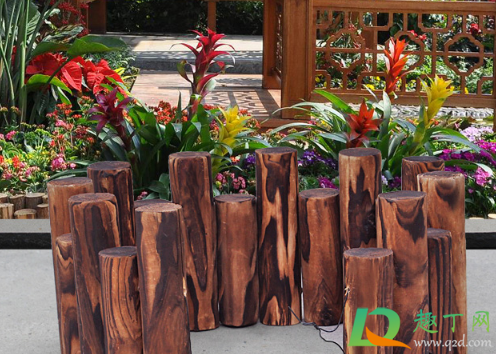 怎么把树干掏空做花盆(木桩怎么掏空做花盆)