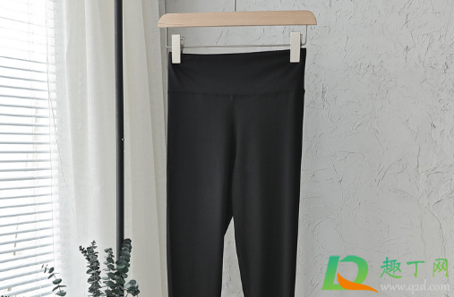 鲨鱼裤是什么裤子(鲨鱼裤是什么裤子?)