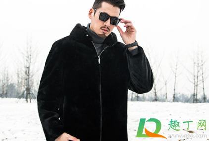 貂皮衣服怎么看出皮的好坏(怎么看貂皮的质量好与坏) 貂皮衣服怎么看出皮的好坏(怎么看貂皮的质量好与坏)