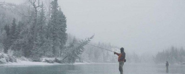 怎么判断下午钓鱼钓深还是钓浅(上午钓深还是钓浅)