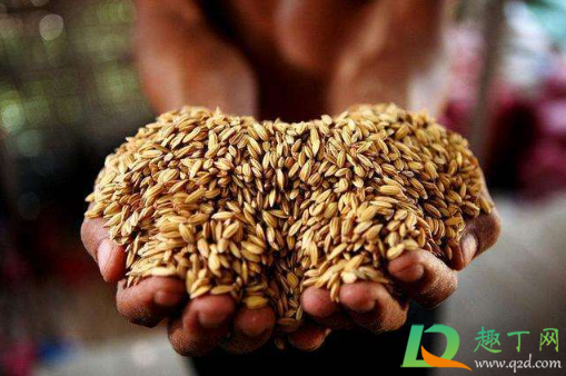 2021年春天会缺粮吗(2021年会发生粮荒吗)