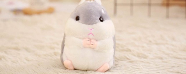 有以下几种小可爱供你选择(小可爱是什么样的女生)