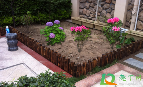 怎么把树干掏空做花盆(木桩怎么掏空做花盆) 怎么把树干掏空做花盆(木桩怎么掏空做花盆)