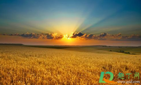 过年长一岁怕老的说说2021(2021年过年的说说) 过年长一岁怕老的说说2021(2021年过年的说说)