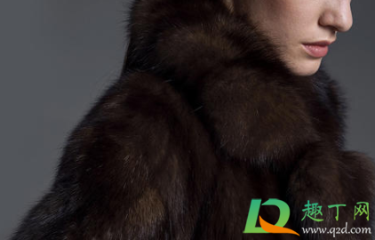 貂皮大衣有油怎么处理(貂皮大衣油渍怎么办)