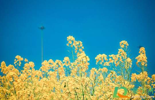 2021年是黑年吗(为啥说2021年是黑年)