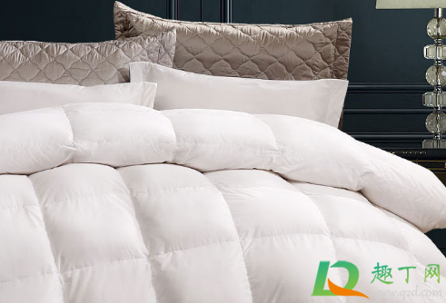 鹅绒被有腥味是什么原因(鹅绒被有异味是什么原因) 鹅绒被有腥味是什么原因(鹅绒被有异味是什么原因)