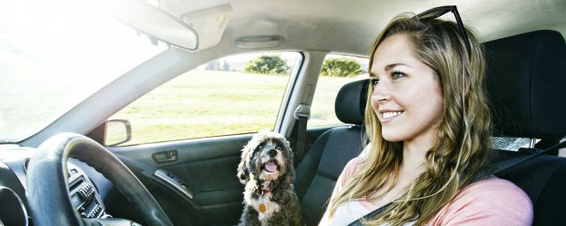 详细的流程介绍建议收藏