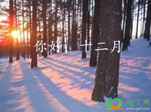 2020年12月有冷空气吗(12月还有冷空气吗)