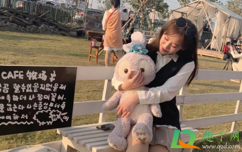 武汉绵羊牧场在哪(武汉绵羊牧场摄影基地)