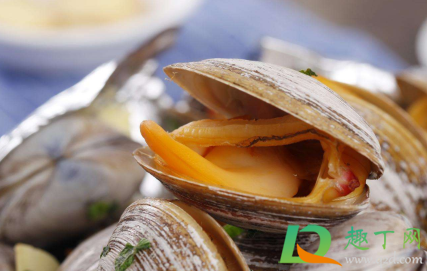 黄蚬子用什么能把沙子吐干净(大黄蚬子怎么吐沙子) 黄蚬子用什么能把沙子吐干净(大黄蚬子怎么吐沙子)