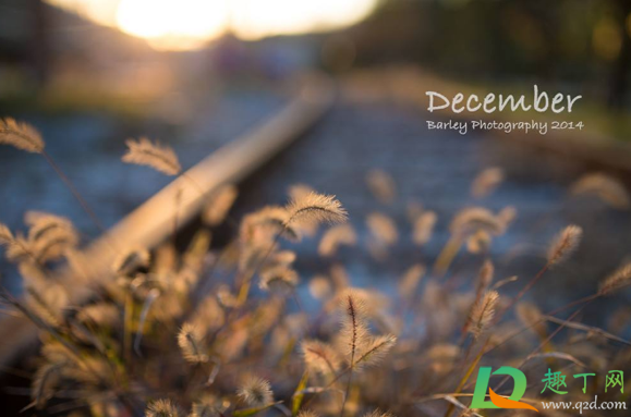 2020年12月有冷空气吗(12月还有冷空气吗)