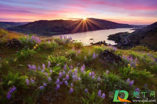 2021年是黑年吗(为啥说2021年是黑年)