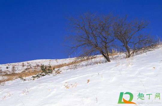 2020年冬天是雨多还是雨少(2020年冬天雨雪天气多吗)