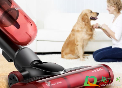 家里一天不擦灰尘很大是什么原因(天天打扫为什么家里会有灰尘)